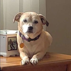 Meet your Posher, Valerie